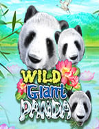 ทดลองใช้ฟรี เติมเงินเกมยิงปลา พร้อมเทคนิคเล่นเด็ดๆ